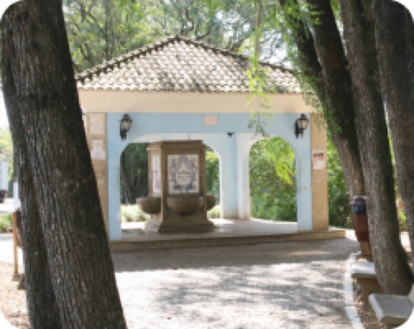 Fonte Cidade Feliz